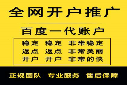 某电商企业如何利用百度搜索推广提升销售额
